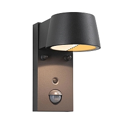 outdoor wall luminaire CAPEA with motion detector, switchable, insect friendly IP44, anthracite 