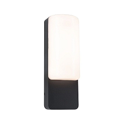 outdoor wall luminaire BONNIE switchable, sea-air resistant IP44, anthracite 