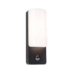 outdoor wall luminaire BONNIE PIR with sensor, switchable, sea-air resistant IP44, anthracite 