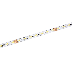LED Strip STAR STRIP 3100 TUNABLE WHITE