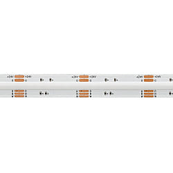 LED Strip COB