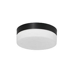 Steinhauer Wall and ceiling luminaire CEILING AND WALL Bathroom luminaire, 1 flame, glass 18 cm, silver