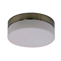Steinhauer Wall and ceiling luminaire CEILING AND WALL Bathroom luminaire, 1 flame, glass 24 cm, silver