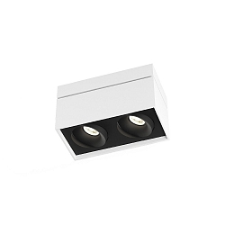 Ceiling luminaire SIRR0 2.0 PAR16, 2x GU10 max. 12W, rotatable and swivelling, white black