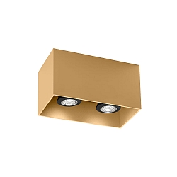 spot BOX CEILING SURF 2.0 PAR16 GU10 IP20, champagner 