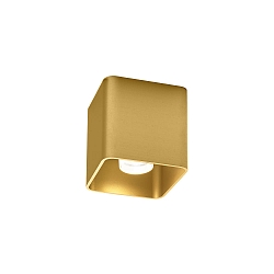 ceiling luminaire DOCUS CEILING SURF 1.0 1 flame, Dim-To-Warm IP20, gold dimmable