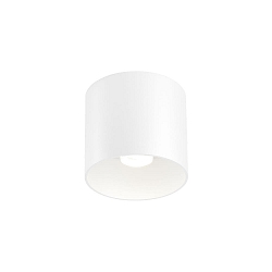 ceiling luminaire RAY CEILING SURF 1.0 1 flame, DALI controllable IP20, white matt dimmable