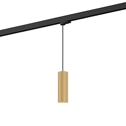 3-phase pendant luminaire RAY SUSP ON TRACK 3-PHASE 2.0 PAR16 GU10 IP20, champagner dimmable