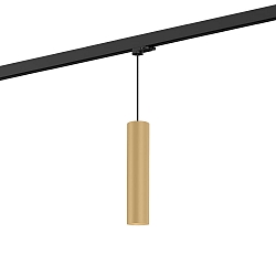 3-phase pendant luminaire RAY SUSP ON TRACK 3-PHASE 3.0 PAR16 GU10 IP20, champagner dimmable