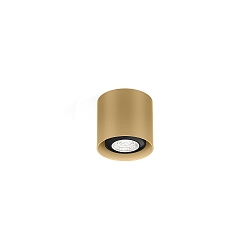 spot RAY MINI CEILING SURF 1.0 PAR16 GU10 IP20, champagner dimmable