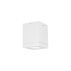 Outdoor Ceiling luminaire TUBE CARR� 1.0 PAR16, IP65, GU10 max. 5W, white