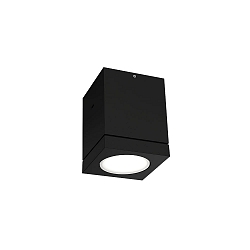 Outdoor LED Ceiling luminaire TUBE 1.0, IP65, 8W 3000K 38�, CRi >90, dimmable, black
