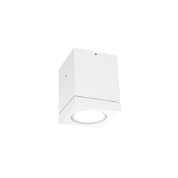 Outdoor LED Ceiling luminaire TUBE 1.0, IP65, 8W 3000K 38�, CRi >90, dimmable, white