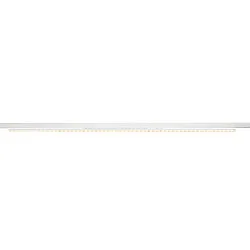 3-phase spot SIGHT EASY 41-66W rigid, asymmetrical, switchable, multipower IP20, white 