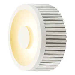 LED Ceiling luminaire OCCULDAS 13 LED, white, 15W, 3000K