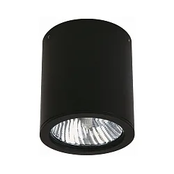 Outdoor Ceiling Spot Type No. 2130, overflade montering, IP44, Ø 11cm / H 12.5cm, E27 PAR30 max. 75W, rigid, black matt