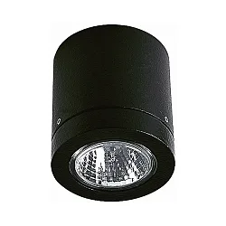 Outdoor Ceiling Spot Type No. 2140, IP23, GU10 PAR16 max. 50W, black matt