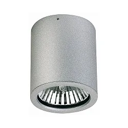 Outdoor ceiling spot Type No. 2130, IP44, Ø 11cm / H 12.5cm, E27 PAR30 max. 75W, rigid, silver matt