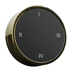 remote control RWTDBTBASSB round, programmable, gold