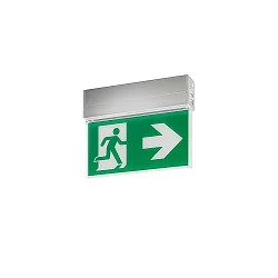 emergency luminaire EKW IP41, silver