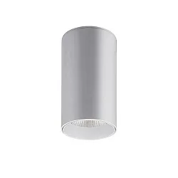 downlight TRAXX MAXI round, switchable LED IP20, silver 