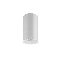 surface luminaire TRAXX MAXI round, direct IP20, white dimmable