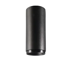 downlight LUCEA 10 rigid, surface-mounted version, CCT Switch IP20, transparent, deep black dimmable
