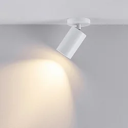 ceiling luminaire CAN TILT ROUND Ø 8CM 1 flame, round, cardanic swivelling GU10 IP20, white