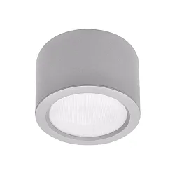 LED Downlight, 10W, 4000K, 1500lm, IP65, DALI dimmable, silver
