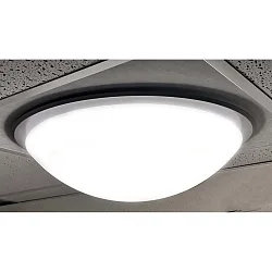 Dekorring for LED Wall / Ceiling luminaire, spherical and cylindrical, series 7520, D43,5cm, stainless steel look titanium