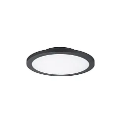 wall and ceiling luminaire TELLA round IP65, anthracite 