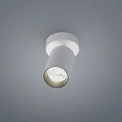 LED Ceiling luminaire RIWA LED Spot, 1 flame, IP20, white matt