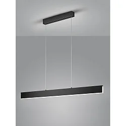 LED Pendant luminaire NEX LED, IP20, black matt