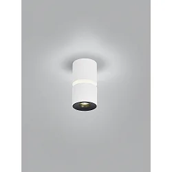 ceiling luminaire ROK 1 flame, direct / indirect, focusable IP20, white matt dimmable