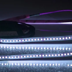 LED Strip CRI FOOD FLEX FISH 2-pole white