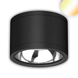 spot IP65, black dimmable