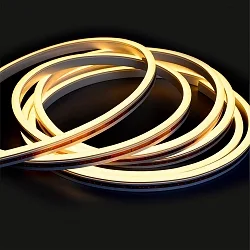 fully siliconised LED strip NEONPRO927 CUSTOM B08H12 2-pole