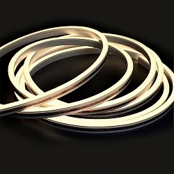 fully siliconised LED strip NEONPRO940 CUSTOM B08H12 2-pole