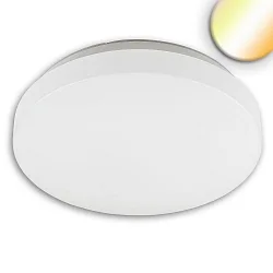 ceiling luminaire DN410 COLORSWITCH CCT Switch, switchable, multipower IP64, white 