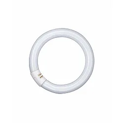 fluorescent lamp L, circular 26mm tube, G10q, 840 C neutral white