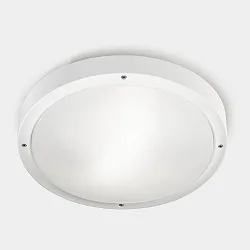wall and ceiling luminaire BASIC E27 IP66