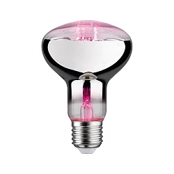 LED Growth light Filament Lamp / Grow Green Reflector R80, 230V, E27, 6.5W 1300K 200lm 60°