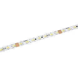 LED Strip STAR STRIP 3100 TUNABLE WHITE