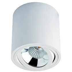 surface luminaire MELIMAR COB round, swivelling IP20, transparent, white, lacquered