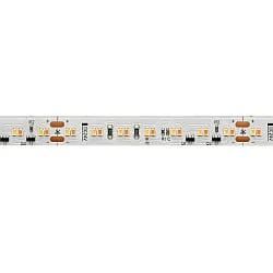 LED Strip DIM-TO-WARM