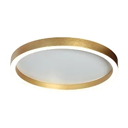 ceiling luminaire RINGLUX IP20, dimmable