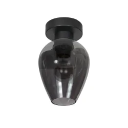 ceiling luminaire DROVIA 1 flame E27 IP20, black dimmable