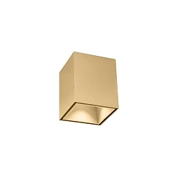 downlight BOX MINI 1.0 square, surface-mounted version IP20, champagner dimmable