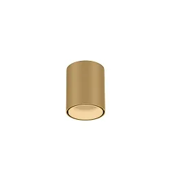 downlight RAY MINI 1.0 down, cylindrical, surface-mounted version IP20, champagner dimmable
