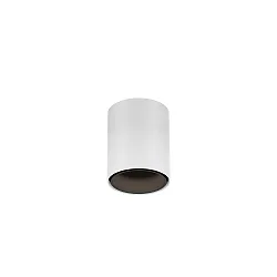 downlight RAY MINI 1.0 down, cylindrical, surface-mounted version IP20, white matt dimmable